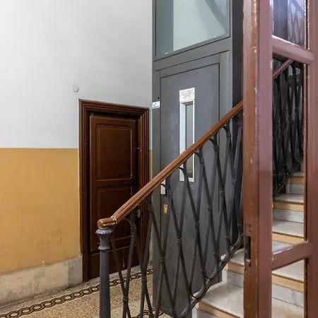 Ginkgo Flat Vaticano 罗马