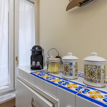 Ginkgo Flat Vaticano * 罗马